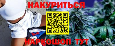 прущие грибы Новодвинск