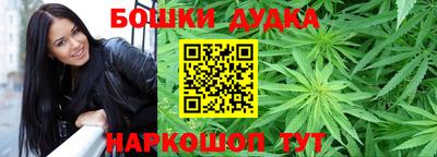 прущие грибы Новодвинск